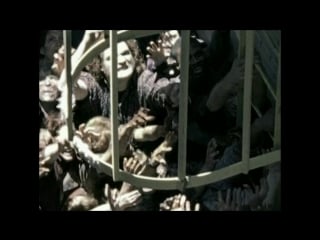 Киноляпы ходячие мертвецы the walking молодые