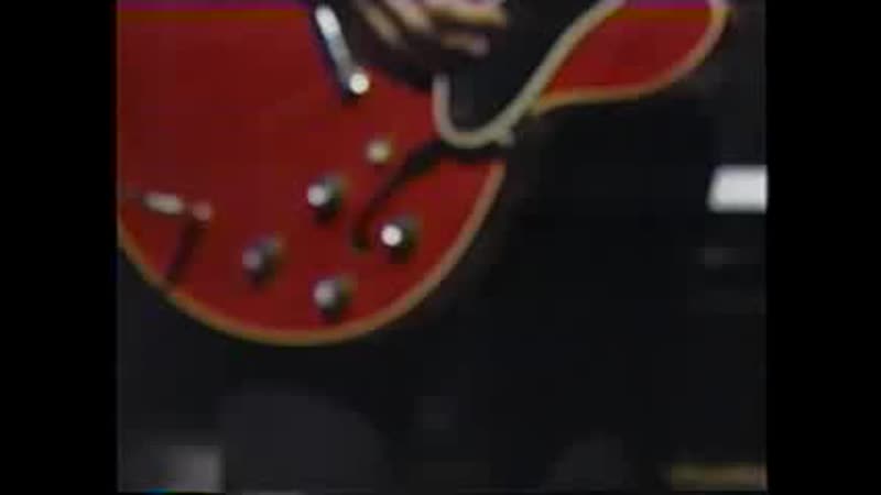 The brilliant green tsumetai hana (live)