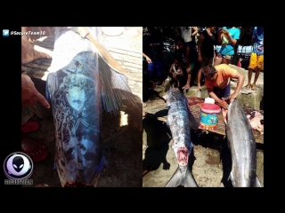 Bizarre markings on fish caught in philippines! 5 6 17