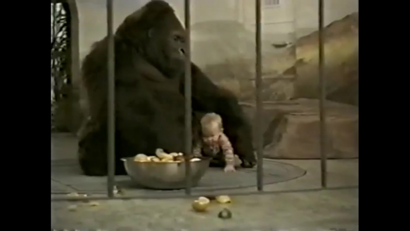 Молодые на прогулке, или ползком от гангстеров (1994) перевод андрей гаврилов