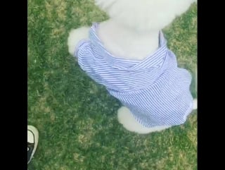 [video] 170504 sehun instagram update 💕