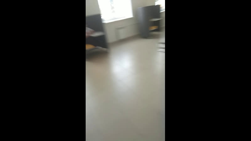 Live первоклашки 1н