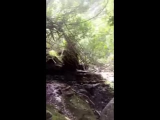 Joseadam snapchat nick & paul phamous