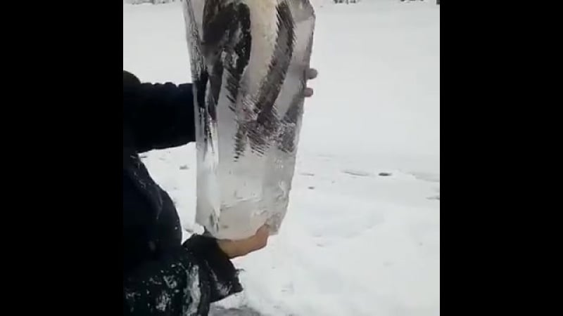 Неожиданная находка (vhs video)