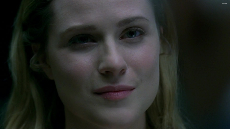 Newton porn video – Thandie newton, evan rachel wood, others nude westworld s01 e05 (2016) / тэнди ньютон, эван рэйчел вуд мир дикого запада