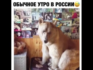 Стёпа не выспался )))