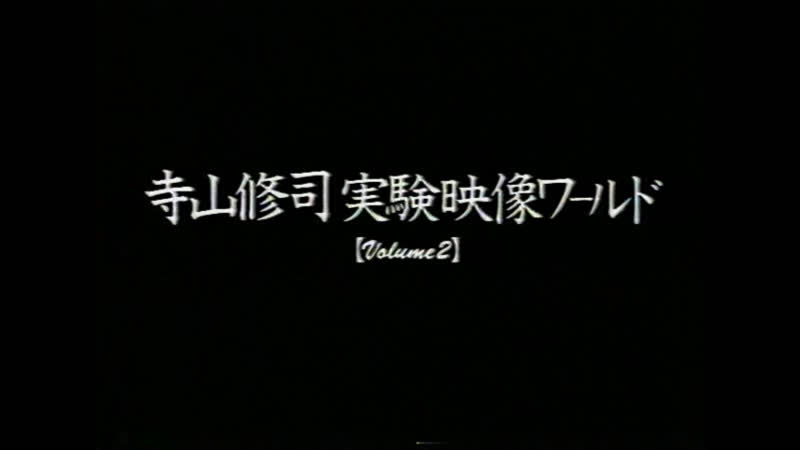 Butterfly (1974), laura (1974), emperor tomato ketchup (13 минутная версия) (1971), young person’s guide to cinema (1974)