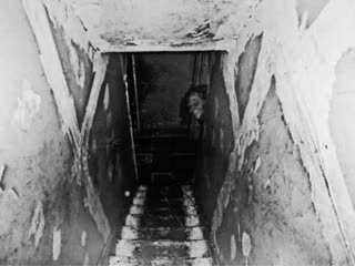 Жуткие фотографии ( от которых волосы дыбом) 2017