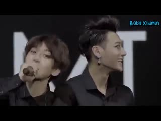 The best translator at concerts