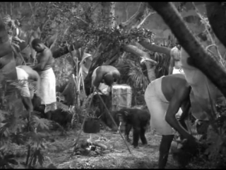 Y las amazonas (1945) español