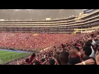 Gol da virada do flamengo visto da torcida