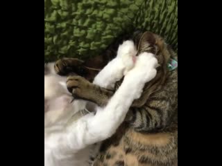 Not entirely sure what’s going on here!