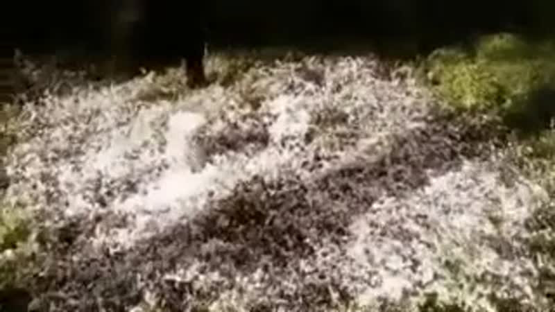 Разрубил балон с монтажной пеной