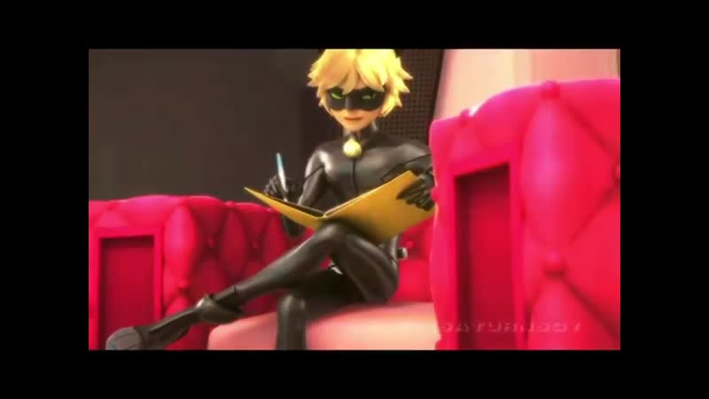 Cat noir vine < miraculous ladybug >