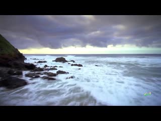 Margarita coconut dancing (serxio1228 new bassmix)