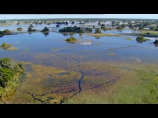 Nature's microworlds ep05 okavango