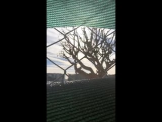 231217 daniel's story