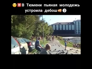 Пьяные молодые устроили дебош