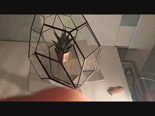 Vid 20190129 205736 mp4