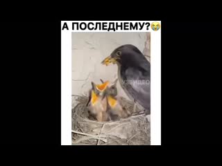 А последнему