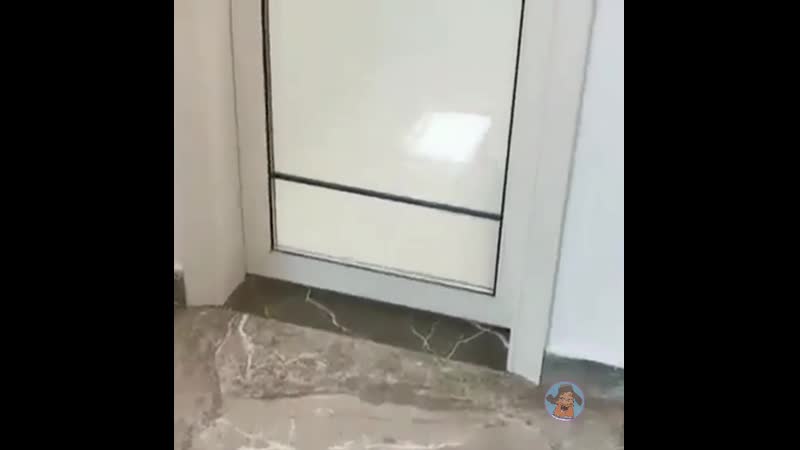 Воспитали хрюшу))