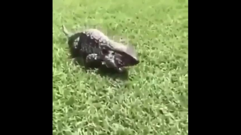 Не все медленное безопасно