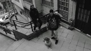 Venceré (latinos libres)