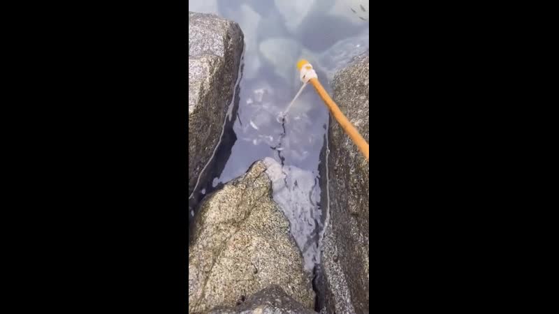 Гиф | крабы | ловля