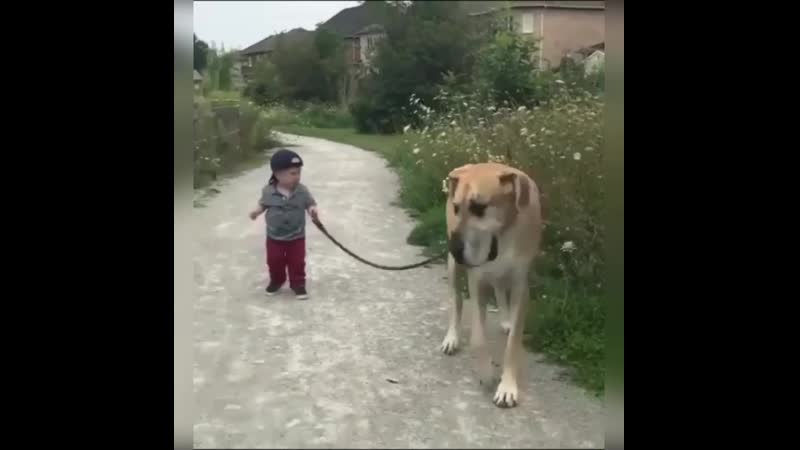 Лучший нянь))