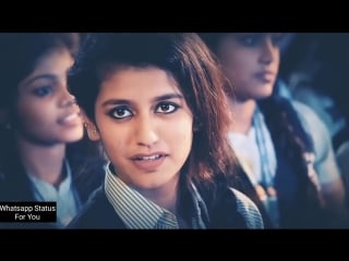 New whatsapp status video 2018 priya parkash varrier oru adaar love mp4