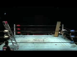 Bjw road to ikki tousen ~ deathmatch survivor tag 2