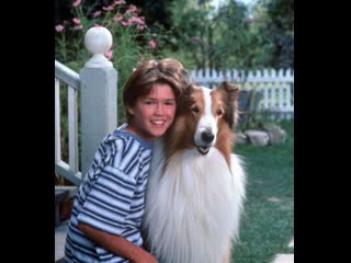 Лэсси / lassie (1997 – ) сезон 1 серия 11 12