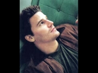 David boreanaz is addictive!