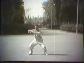 Chen taijiquan er lu (pao chui) lei mu ni