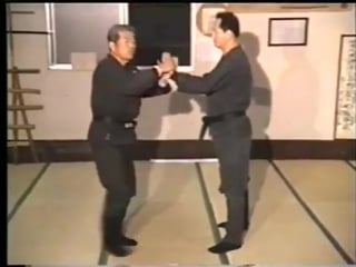 Ninjutsu bujinkan soke masaaki hatsumi kihon happo