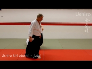 Aikido techniques on ushiro, grips from behind, by stefan stenudd, 7 dan aikikai shihan