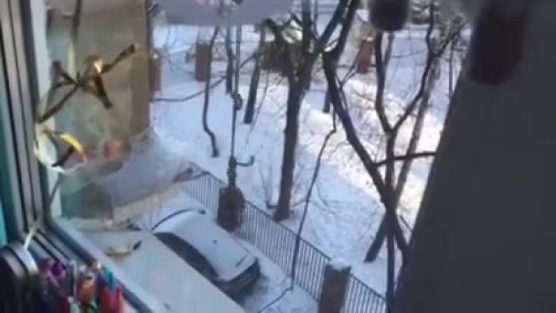 Конкуренция однако)))