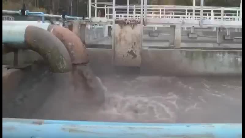 И никакой вони быть не должно