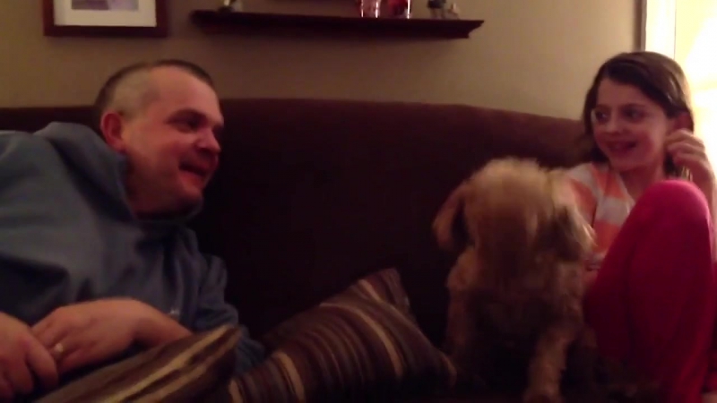 13 нелепых и милых чихающих молодые