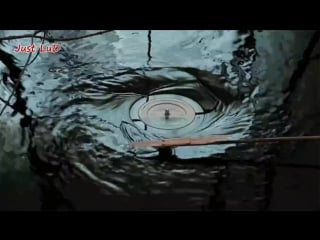 Live just sound / zvuki indie dance