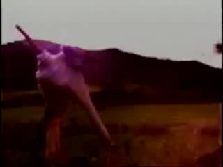 Johnny depp reading jack kerouac