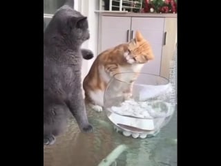 Не трогай (vhs video)