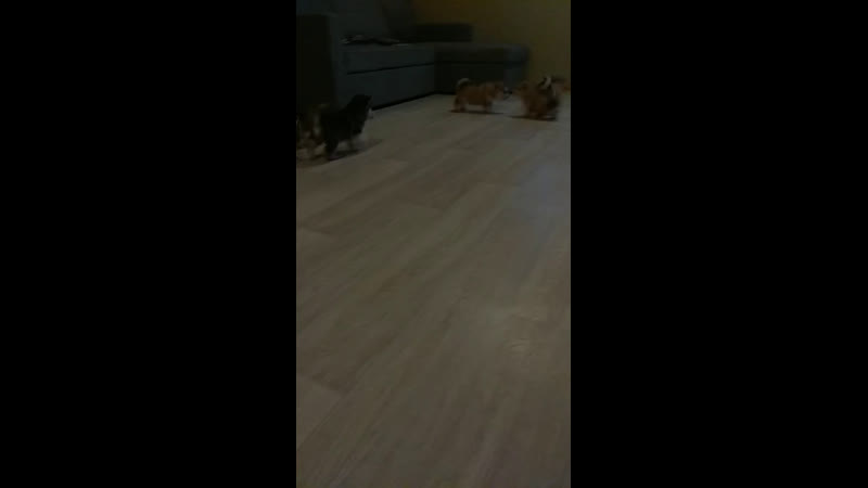 Гуляем и кушаем сами🤗помет литера"о"