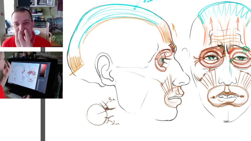 [александр рыжкин] важно знать для рисования лица мимические мышцы а рыжкин