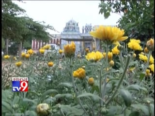 Tv9 heegu unte׃ miracles of yoga narasimha swamy temple, mudigere ¦ hassan