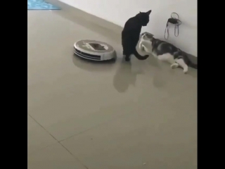 Уйди не мешай