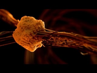 Noisia tentacles (official music video)