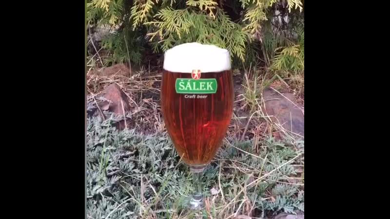 Lager porn video – Salek amber lager