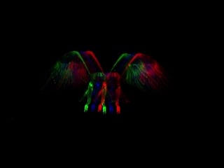 Bonfire yellow claw (зрелые инцест milf mature moms bbw мамки teens bdsm не порно лесби