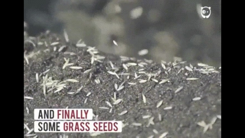 Mower porn video – I was searching for funny lawn mower gifs found this
